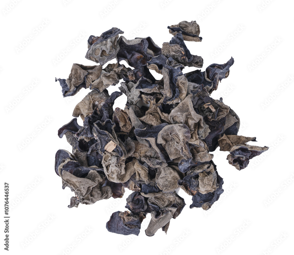 black fungus or ear mushroom isolated on white background black fungus or ear mushroom isolated on white background