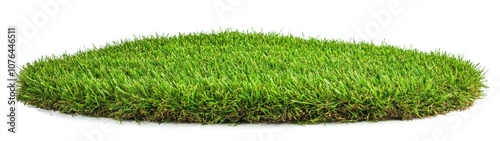 Lush green grass patch isolated on a white background photo