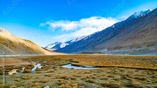 Along the Himalayan road to Pangon Lake, one can often see golden grasslands used for grazing horses, tamarinds and sheep. photo