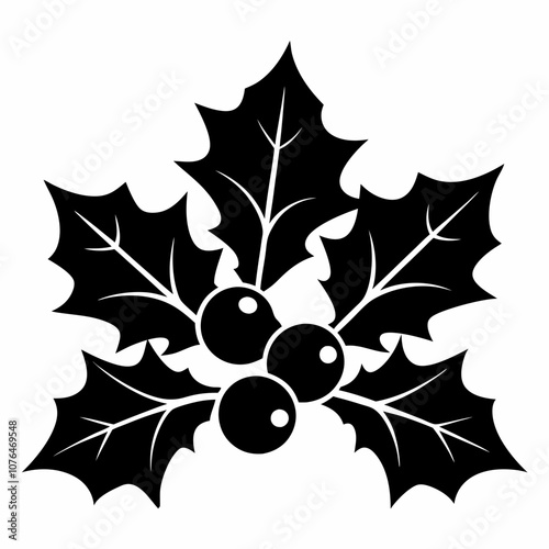 Vector holly leaves and berries silhouette black illustration on a white background