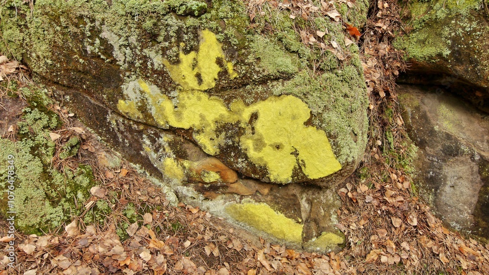 Fototapeta premium Abstract drawing of sandstone rock structure