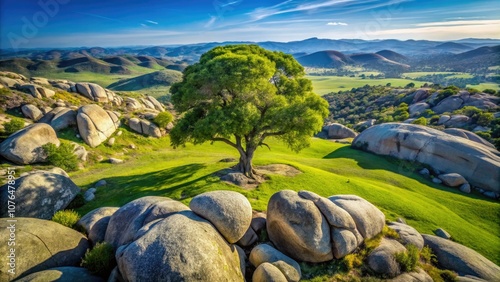 An aerial snapshot captures a lone tree surrounded by boulders, illustrating the tranquil beauty of Ramona Grasslands Preserve in San Diego's picturesque scenery. photo