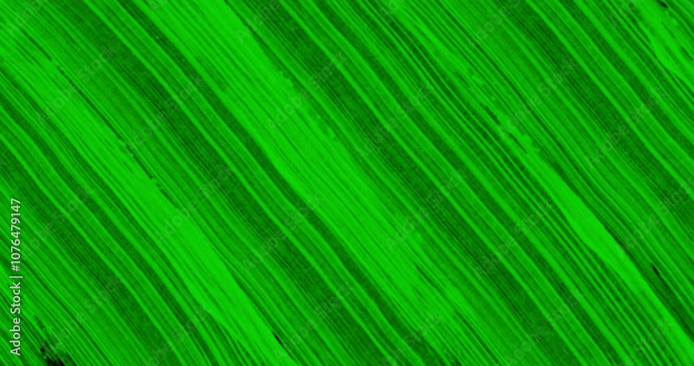 abstract paint brush transition stroke shape white ink splattering flowing and washing with chroma key green screen, ink splatter abstract paint brush transition stroke shape white ink splattering flowing and washing with chroma key green screen, ink splatter
