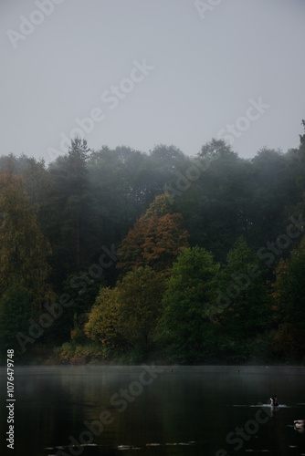 morning on the lake
