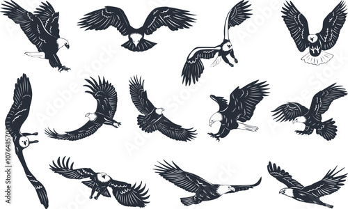 set of silhouettes eagles flying, icons