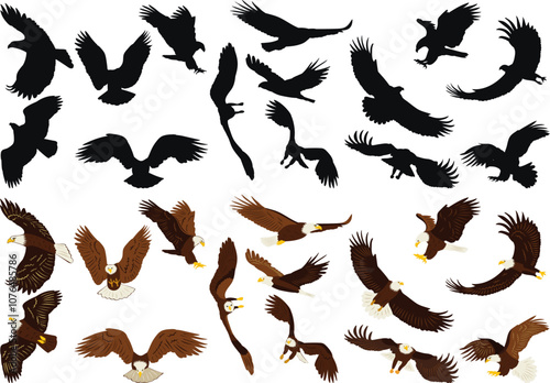 eagle fly away set in flat style, vector