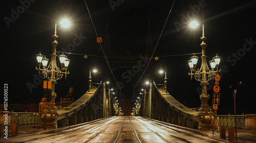 budapest libery bridge at night