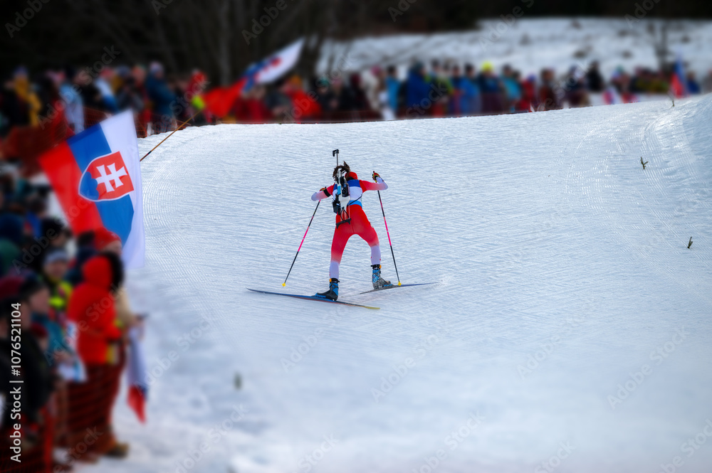 Fototapeta premium Biathlon athlete during the sport race, crowd cheering the athlete climbing on the snowy hill