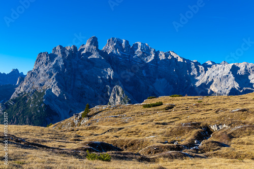 Autumn colors in the mountains. Yellow and orange forest tree in the Dolomites, autumn in the Alps beautiful colorful landscape