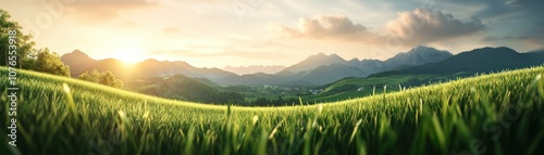 Serene Sunset Over Rolling Green Hills with a Single Horse Casting a Long Shadow, Capturing the Essence of Rural Peace and Tranquility