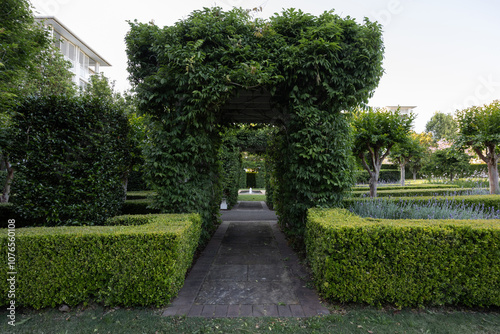 An empty park with green bushes and hedges.