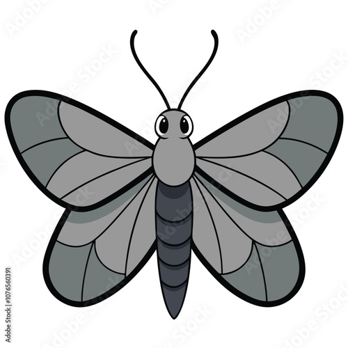 Gray Hairstreak butterfly vector illustrations on a white background.