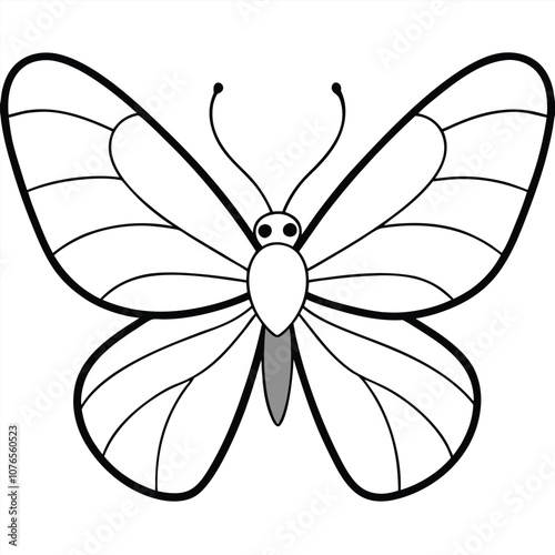 Gray Hairstreak butterfly vector illustrations on a white background.