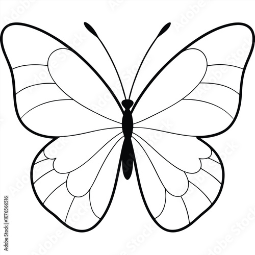 Great Southern White butterfly vector illustrations on a white background.