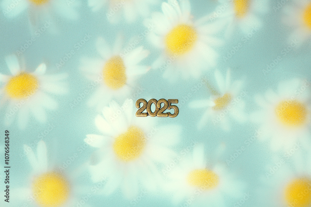 Number 2025 on a Floral Background with White Daisies, Concept 2025 year, Peace, Joy, Nature, care for nature and ecology Number 2025 on a Floral Background with White Daisies, Concept 2025 year, Peace, Joy, Nature, care for nature and ecology