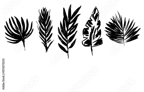Set of grunge textured vector black ink hand dawning tropical leaves, fern, palm, banana leaf. Artistic paintbrush texture botanical elements for textile pattern design, greeting card, logo