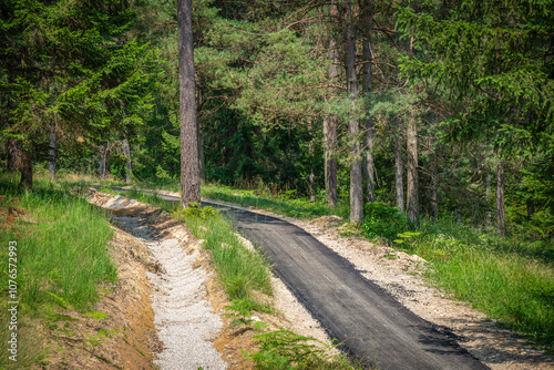 Freshly Laid Asphalt Path on Scenic Golf Course in Beautiful Nature