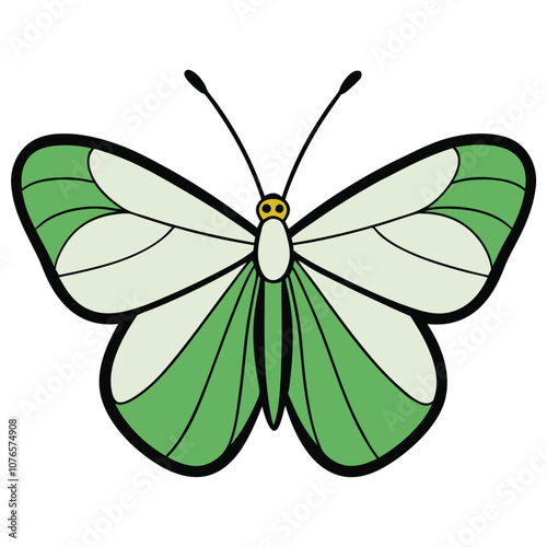 green-veined white butterfly vector illustrations on a white background.