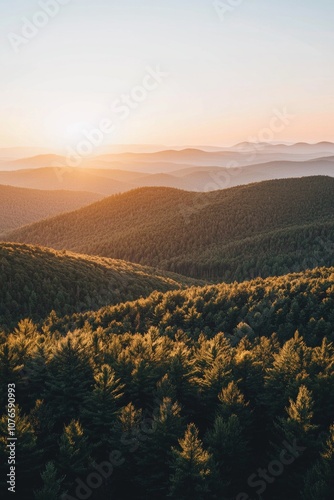 Mountain range with fore at sunset, with the sun setting behind them.  photo