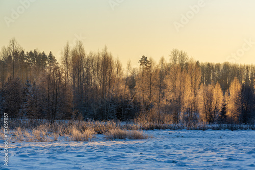 sunny, snowy winter day in the countryside