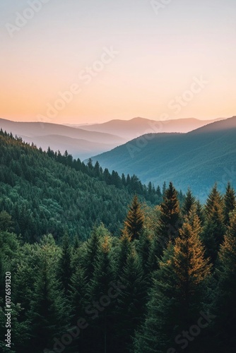 Mountain range with fore at sunset, with the sun setting behind them. 