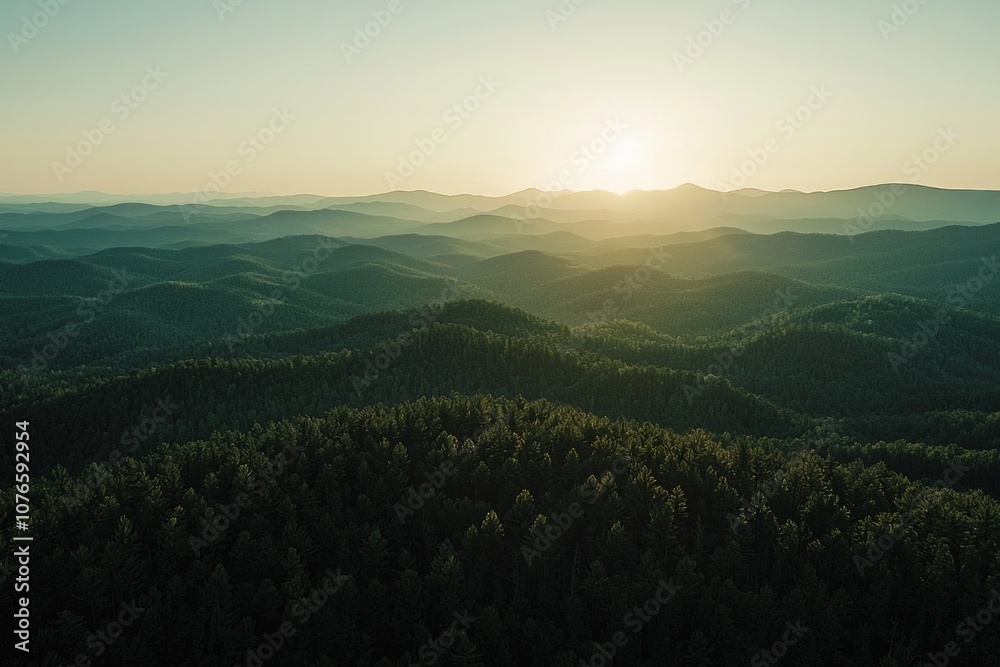 Obraz premium Mountain range with fore at sunset, with the sun setting behind them. 