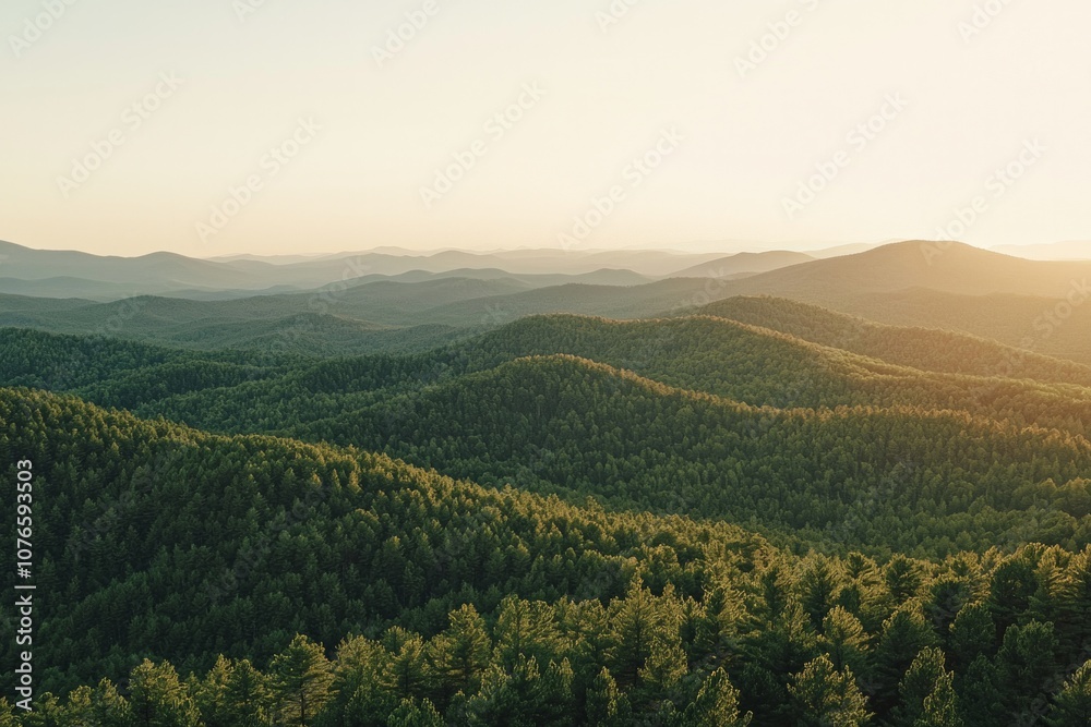 Naklejka premium Mountain range with fore at sunset, with the sun setting behind them.