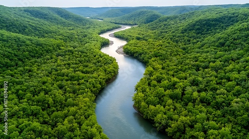 The aerial perspective captures the meandering path of a serene river cutting through a vibrant, dense forest, with shades of green ranging from deep olive to bright emerald