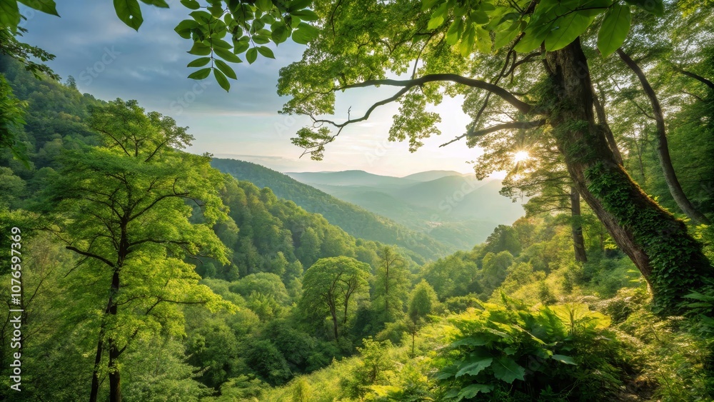 Lush Green Forest with Bokeh Effect - Professional Nature Photography, Scenic Wilderness, Vibrant Flora, Tranquil Environment, Outdoor Serenity, Natural Lush Green Forest with Bokeh Effect - Professional Nature Photography, Scenic Wilderness, Vibrant Flora, Tranquil Environment, Outdoor Serenity, Natural