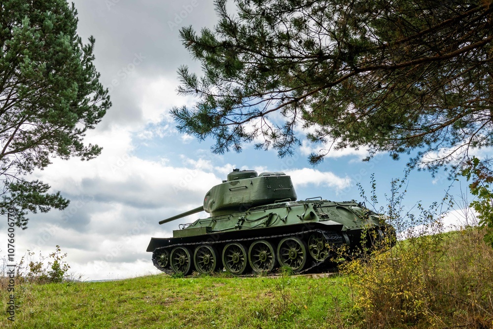Fototapeta premium Historic Valley of Death: Battle of Dukla Pass Memorial in Slovakia
