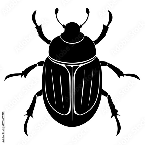 beetle on white