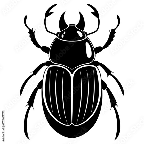 beetle on white