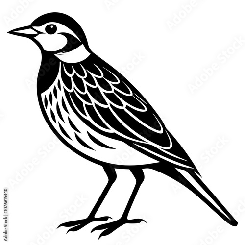 silhouette of a bird