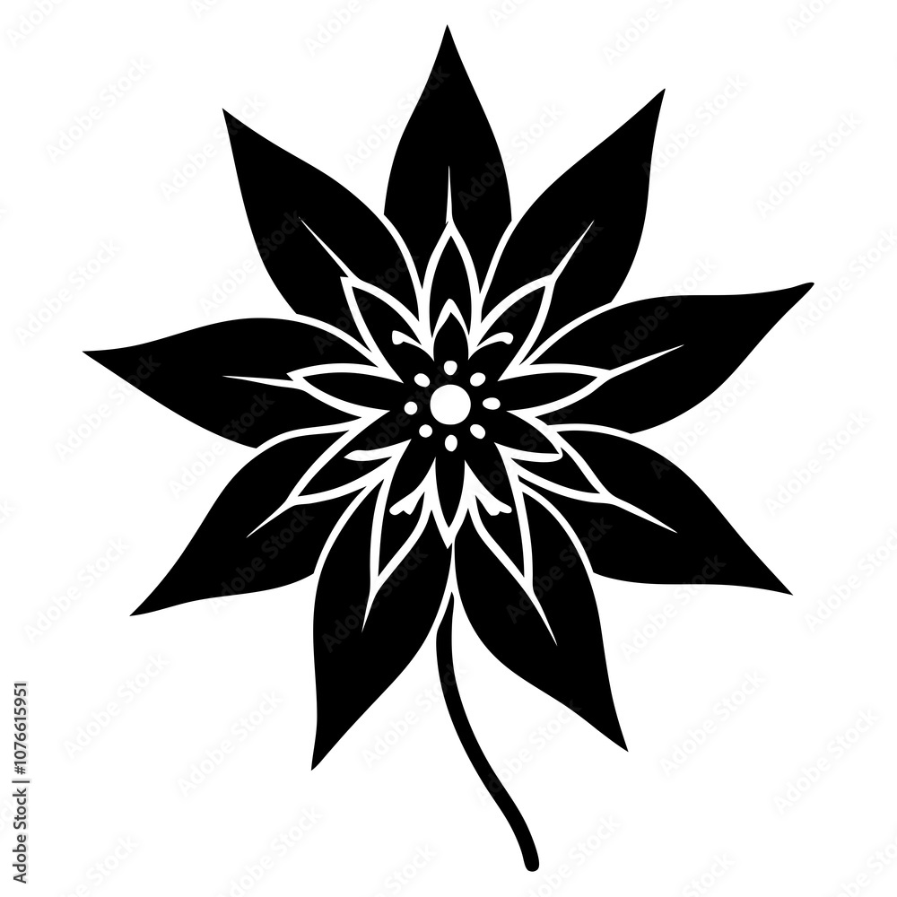 black and white flower black and white flower