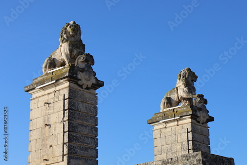Fototapeta Vestiges de l'ancien pont de Trinquetaille,  pont ferroviaire sur le fleuve Rhôn