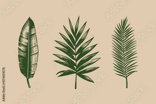Tropical palm leaves set. Vintage hand drawn monochrome vector illustration, print, icon