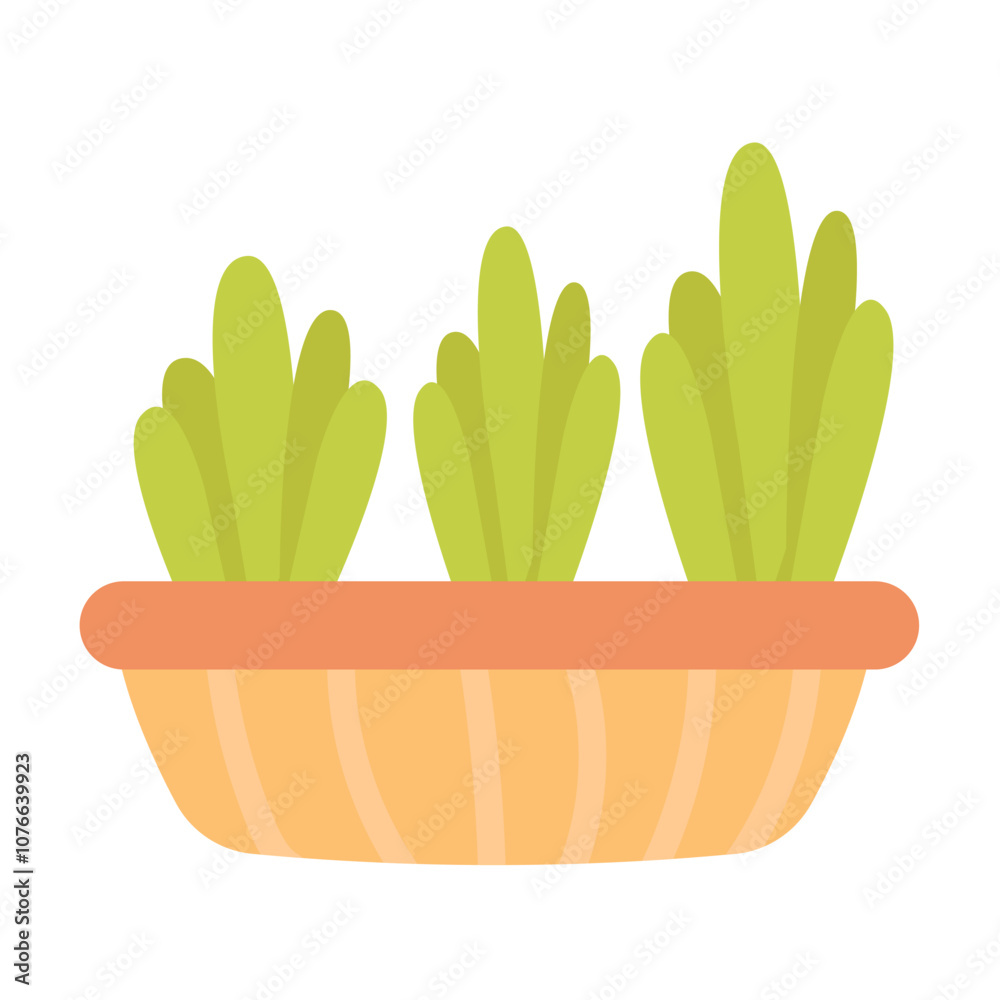Seedlings, grass isolated on a white background