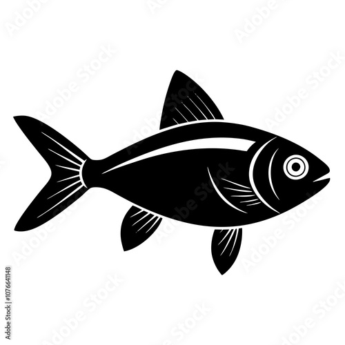 fish isolated on white