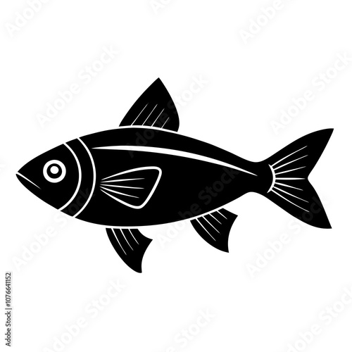 fish isolated on white