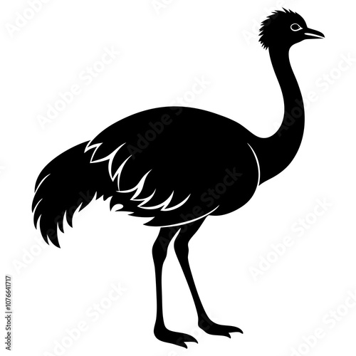 illustration of an emu