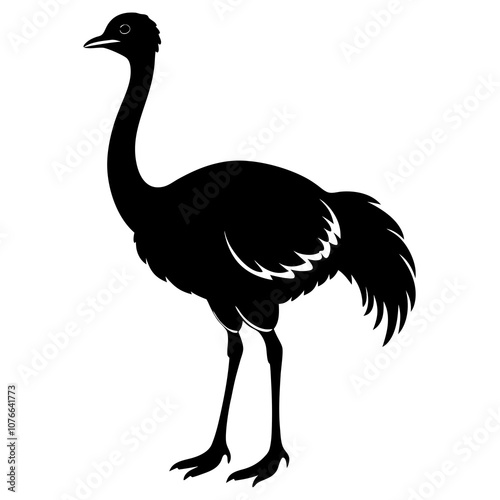 illustration of an emu