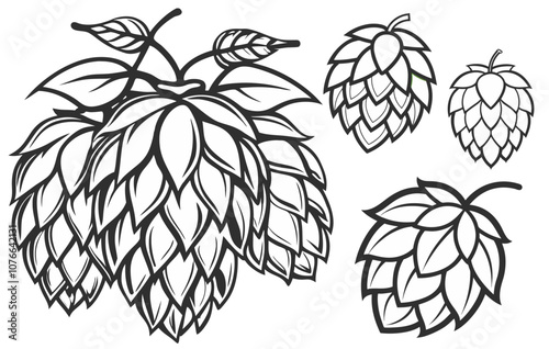 Detailed black and white vector illustration showcasing various perspectives of hops cones, emphasizing their intricate structure and highlighting their role as a key ingredient in beer production