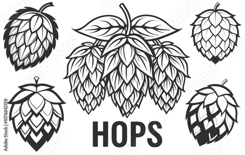 Vintage monochrome set presenting various hop cones with leaves, essential ingredient in beer brewing, showcasing detailed illustrations ideal for brewery logos, labels, or beer related designs