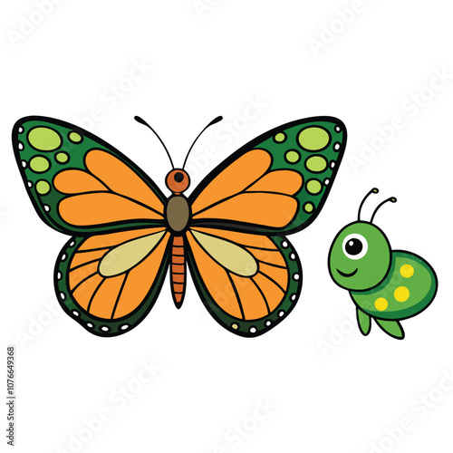 Malachite Butterfly vector illustrations on a white background.