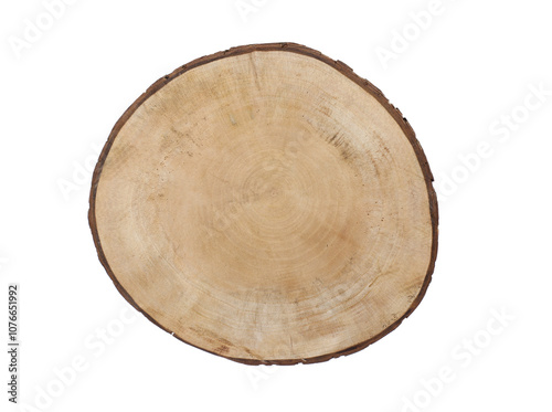 top view wood stump tray isolated on white background