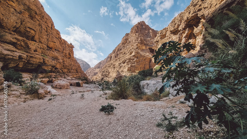 Wadi Shab, very popular wadi in the Al Sharqiyah Region in Oman with water fall in the cave, swimming in natural pools, leisurely walk leisurelywalwalk to the entrance of the wadi.
