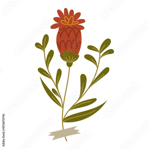 Flat illustration of herbarium flowers. Blackthorn. A flower on white. A decorative element of floral design. Herbs, flowering plants with a piece of scotch tape. Botanical vector illustration
