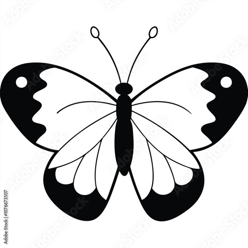 Mourning Cloak butterfly vector illustrations on a white background.