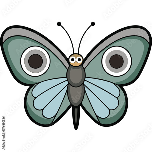 Northern Pearly-eye butterfly vector illustrations on a white background.