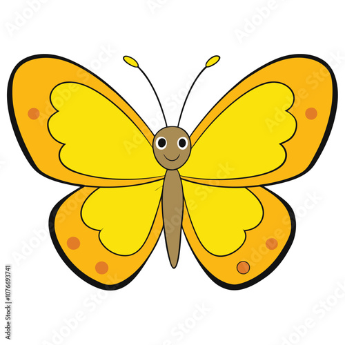 Orange Sulphur butterfly vector illustrations on a white background.